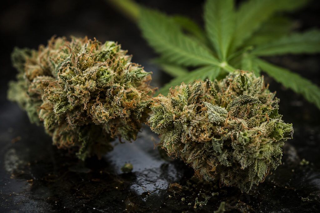 Najmocniejszy kannabinoid thc p
